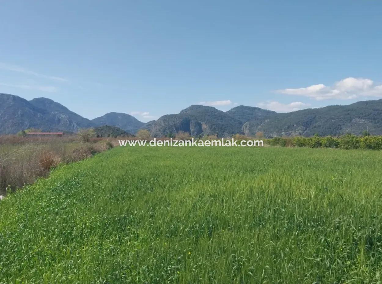 Ortaca Güzelyurt Mah. Zu Verkaufen 6335M² Grundstück Zum Verkauf