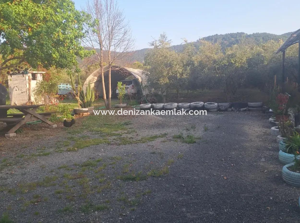 Möblierte 2 1 Wohnung Zu Vermieten In Dalyan Okçular Mah