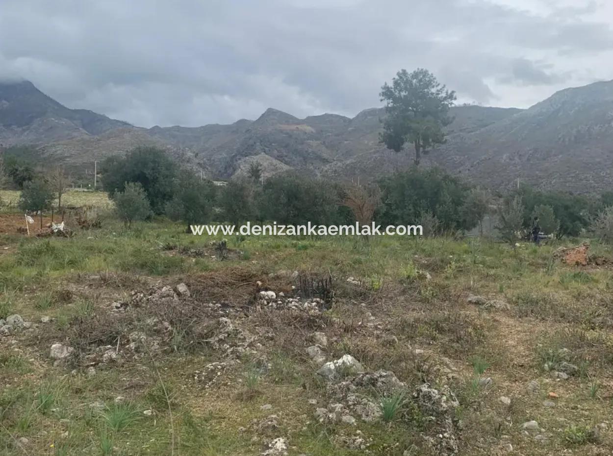 500 M² Feld Zum Verkauf In Köyceğiz Zeytinalani