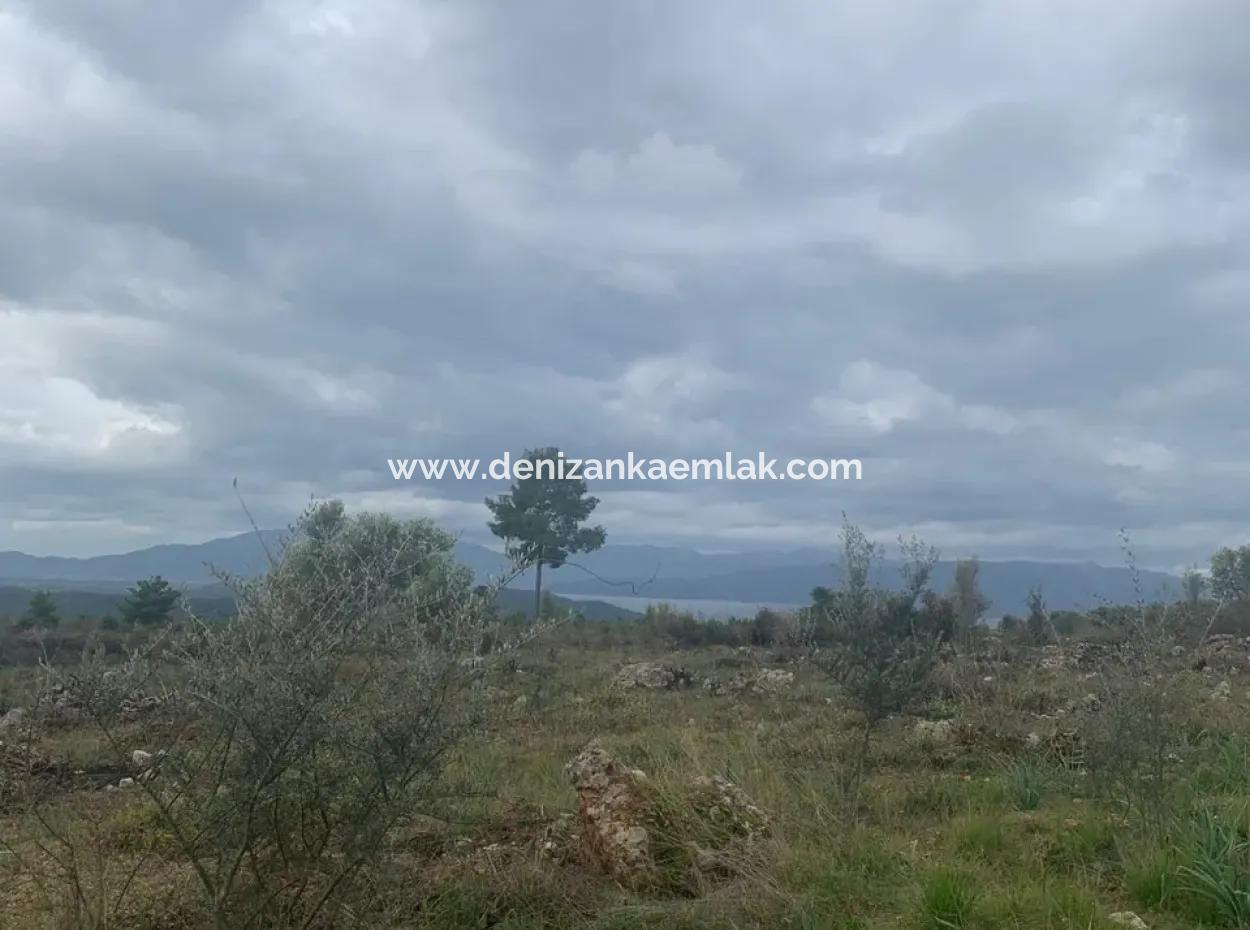 500 M² Feld Zum Verkauf In Köyceğiz Zeytinalani