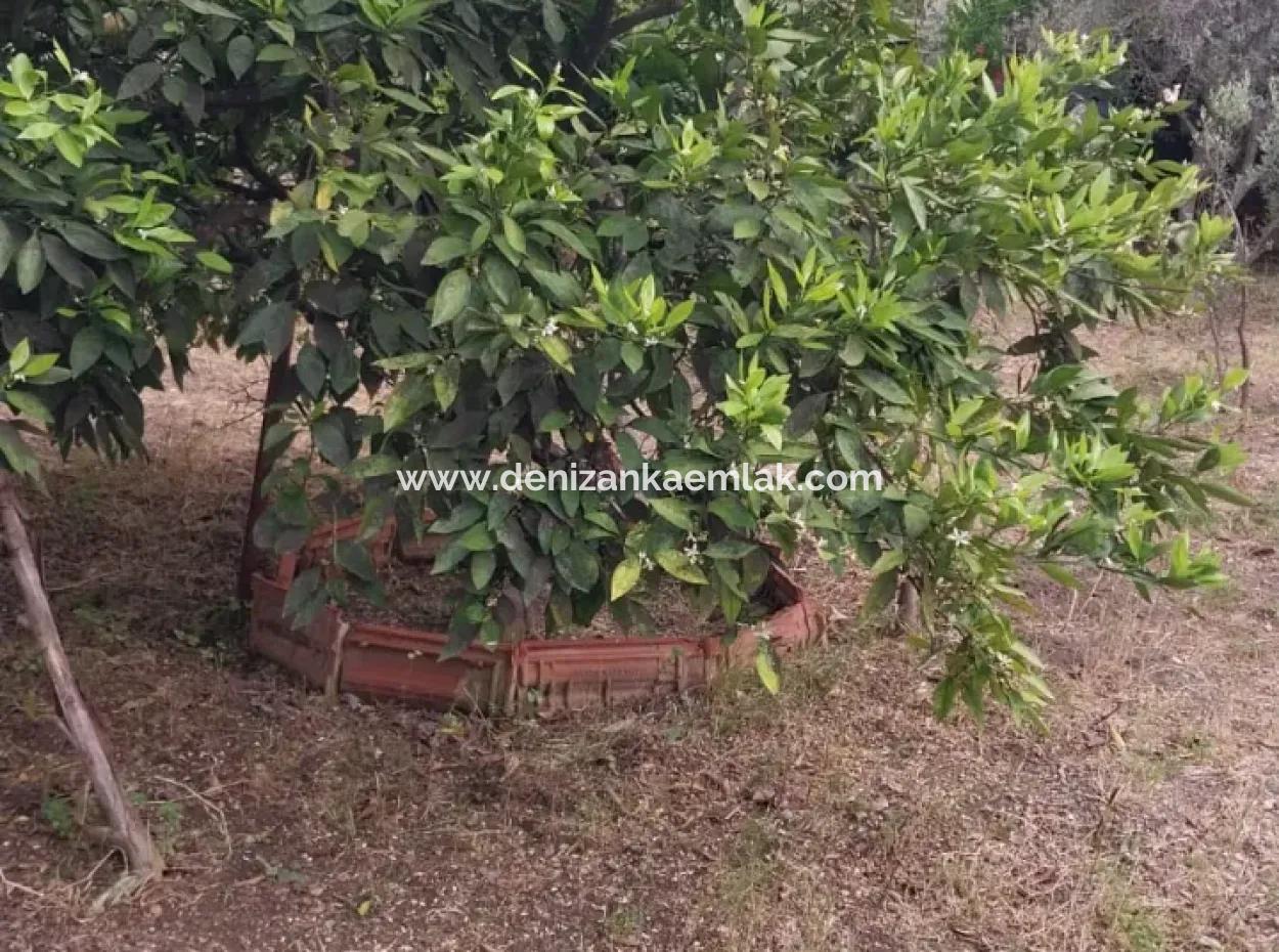 Zu Vermieten 500M² Grundstück In Ortaca Çaylı Mah.voll Freistehend 3 1 Maisonette