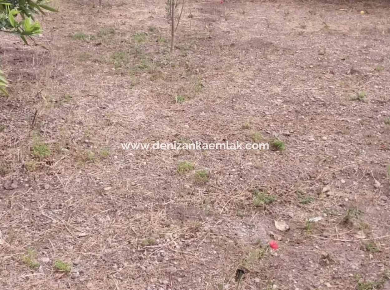 Zu Vermieten 500M² Grundstück In Ortaca Çaylı Mah.voll Freistehend 3 1 Maisonette