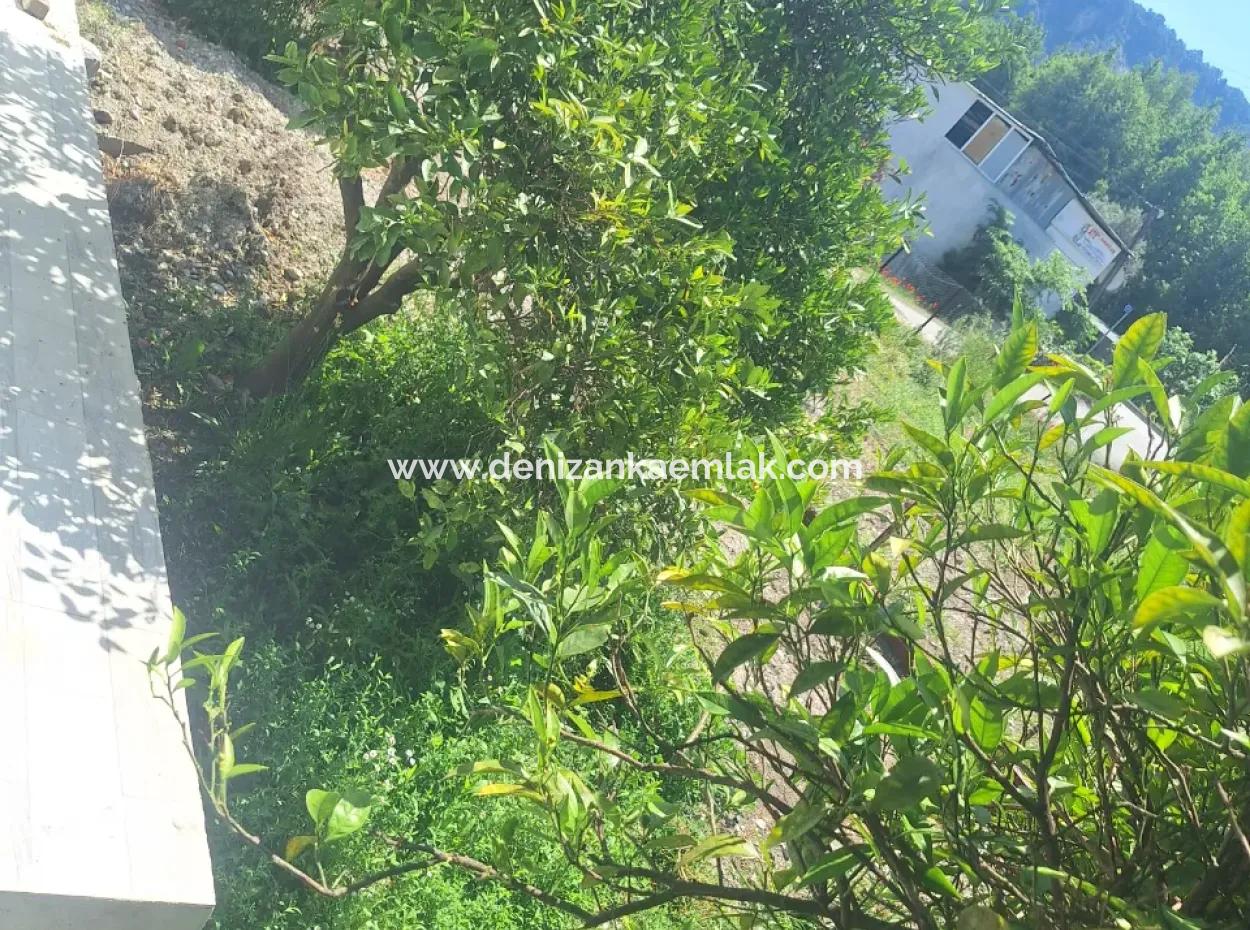 2 1 Freistehendes Haus Zu Vermieten In Dalyan Marmarali