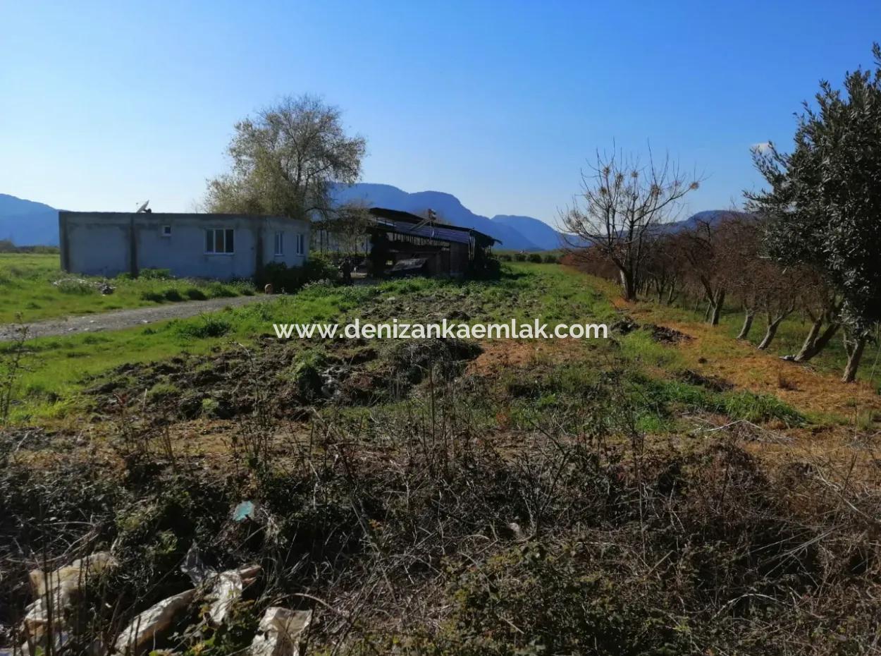 Ortaca Fevziye Mah For Sale 4300M² Single Title Deed Field