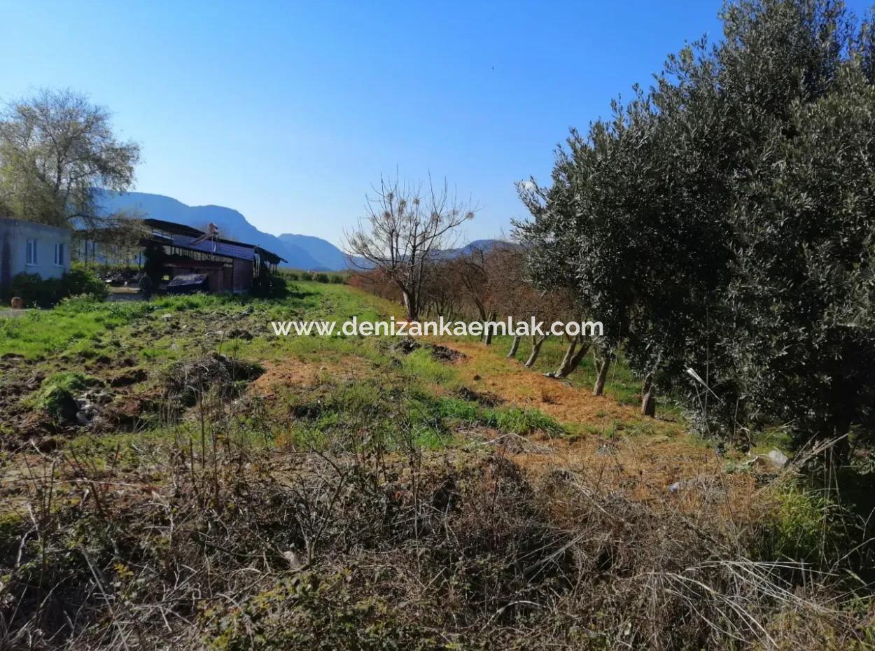 Ortaca Fevziye Mah For Sale 4300M² Single Title Deed Field