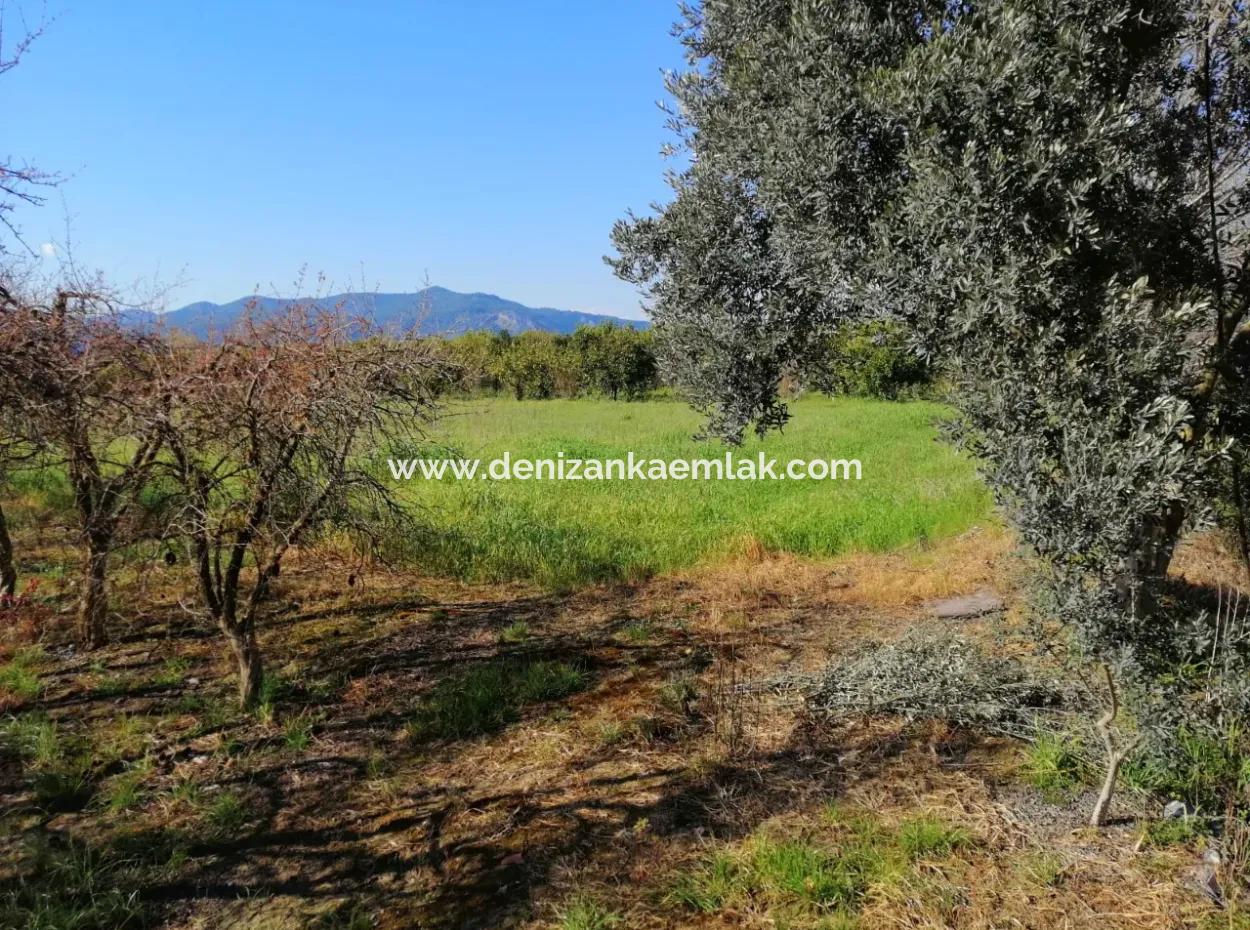 Ortaca Fevziye Mah For Sale 4300M² Single Title Deed Field