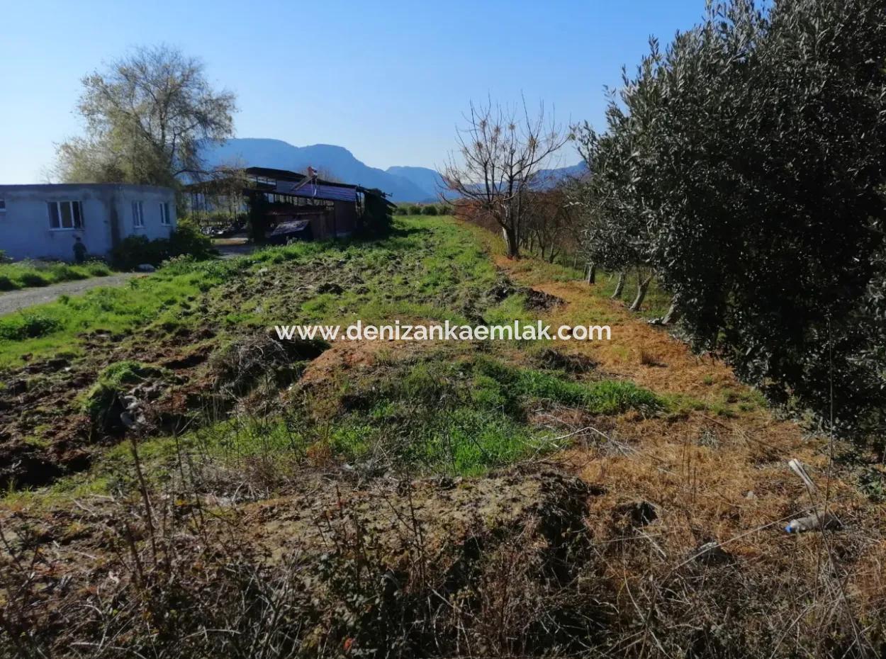 Ortaca Fevziye Mah For Sale 4300M² Single Title Deed Field