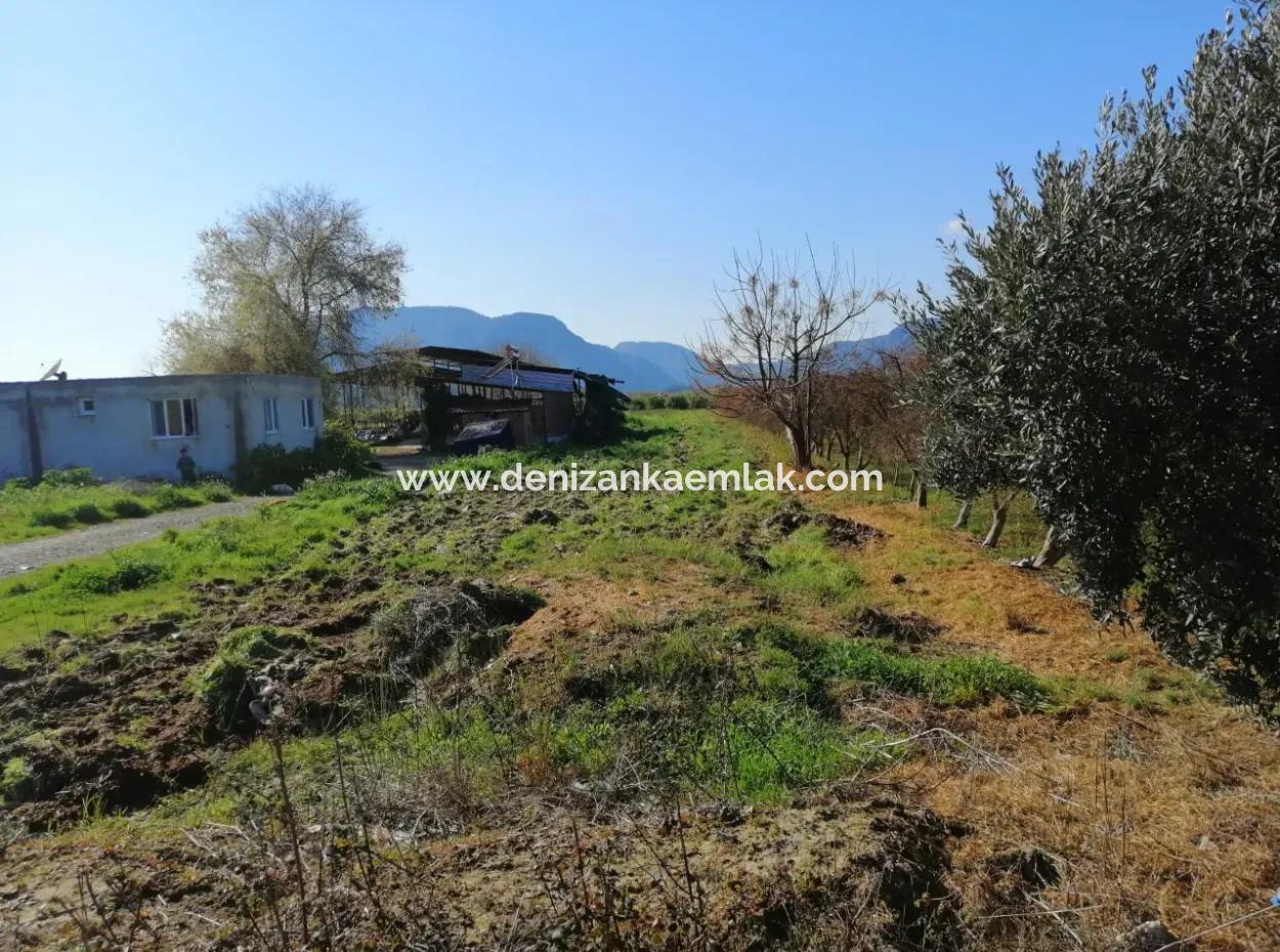 Ortaca Fevziye Mah For Sale 4300M² Single Title Deed Field