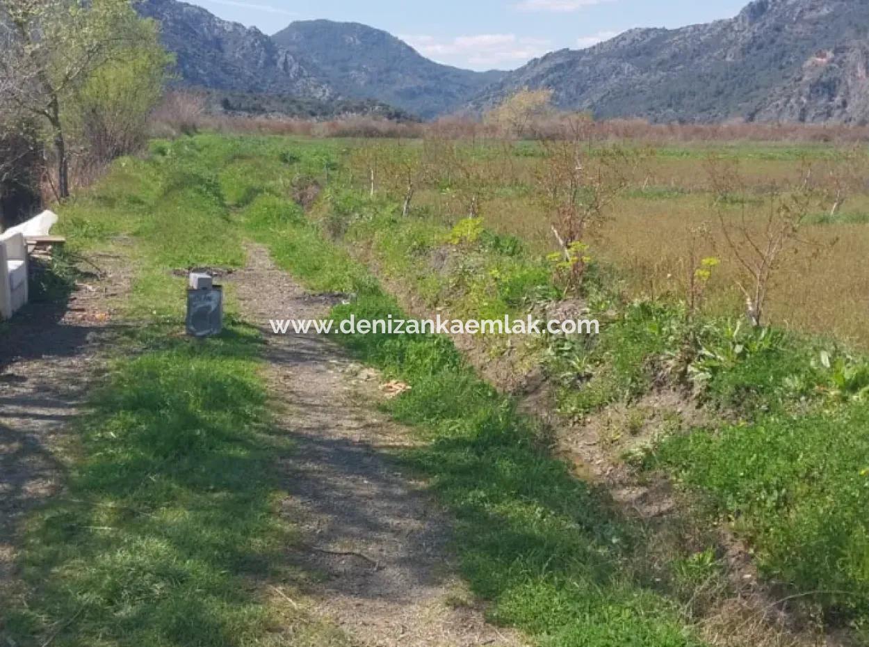 Guzelyurt Mah. 11 Acres Of Single Title Deed Land For Sale