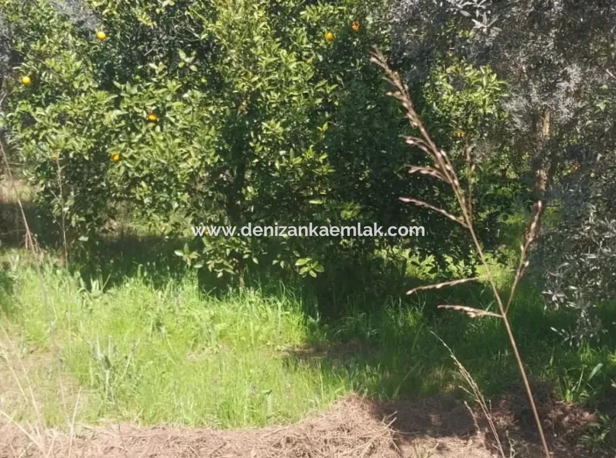 Ortaca Mergenli Mah. 500 M² Shared Land For Sale