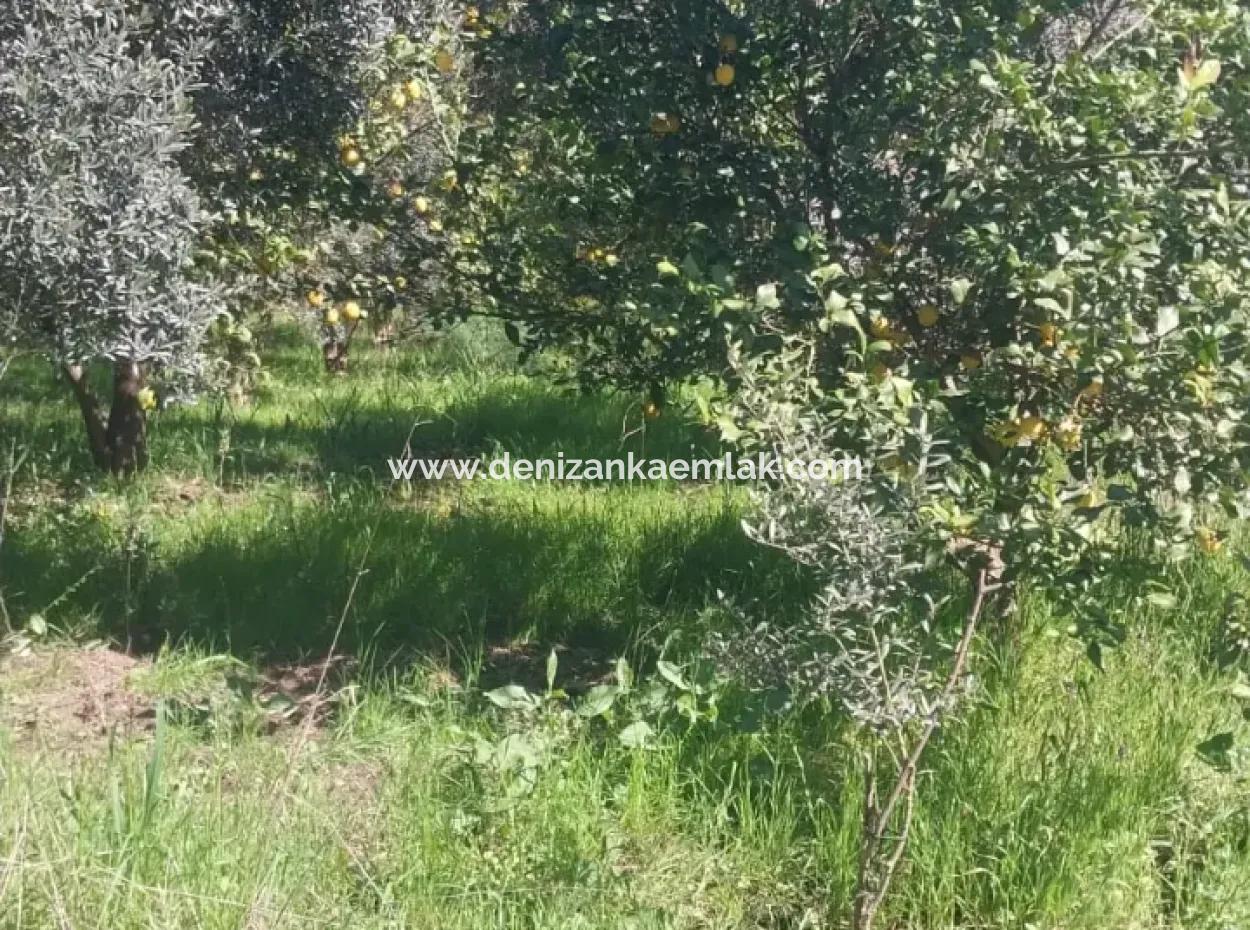 Ortaca Mergenli Mah. 500 M² Shared Land For Sale
