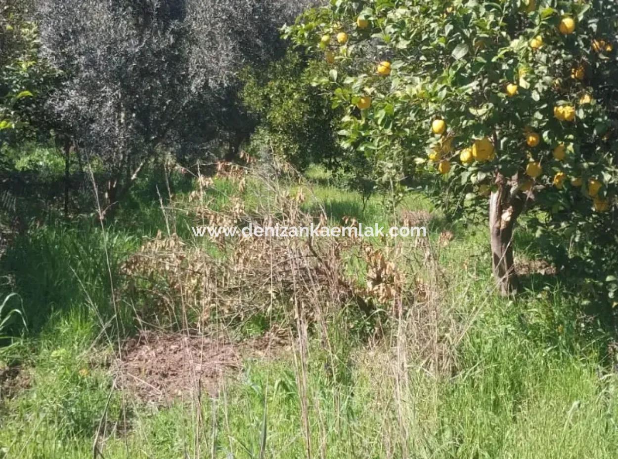 Ortaca Mergenli Mah. 500 M² Shared Land For Sale