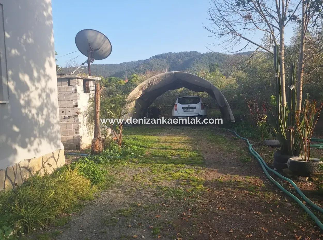 Dalyan Okçular Mah 2 1 Semi-Detached House For Rent
