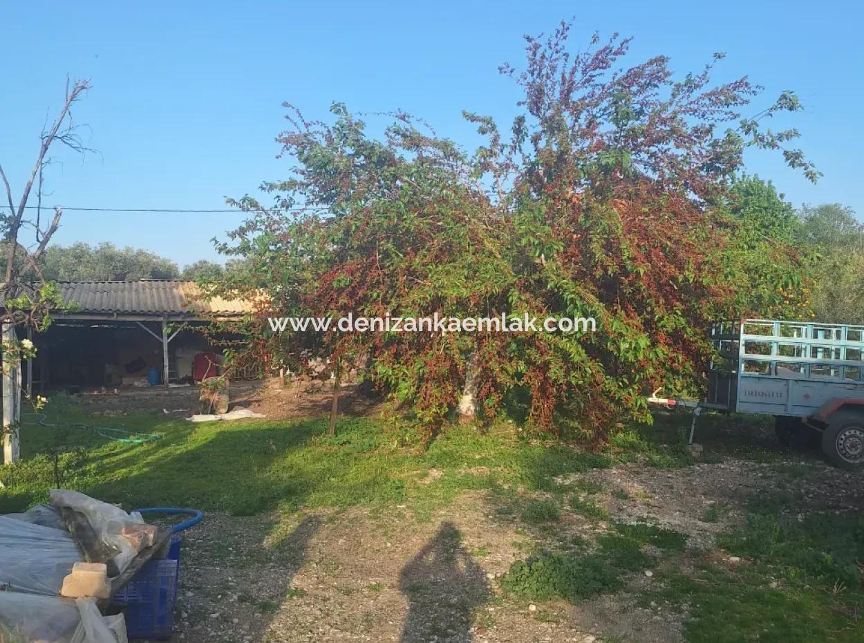 Furnished 2 1 Apartment For Rent In Dalyan Okçular Mah