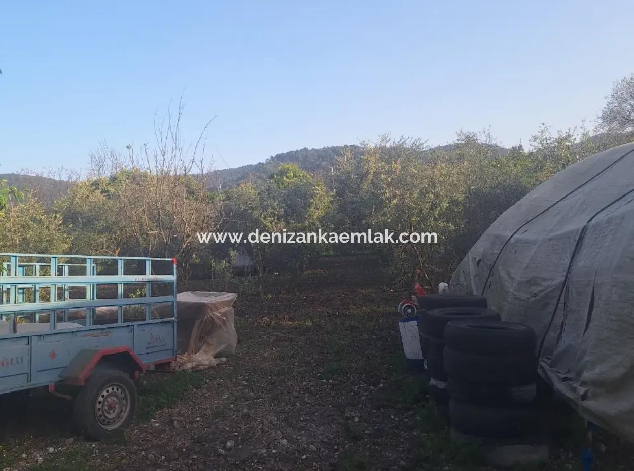 Furnished 2 1 Apartment For Rent In Dalyan Okçular Mah