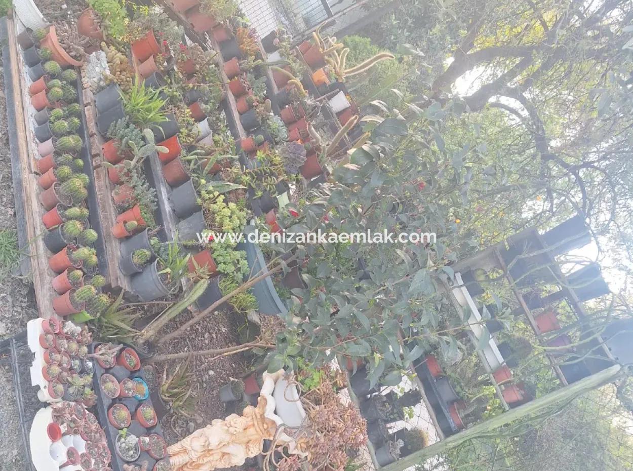 Furnished 2 1 Apartment For Rent In Dalyan Okçular Mah