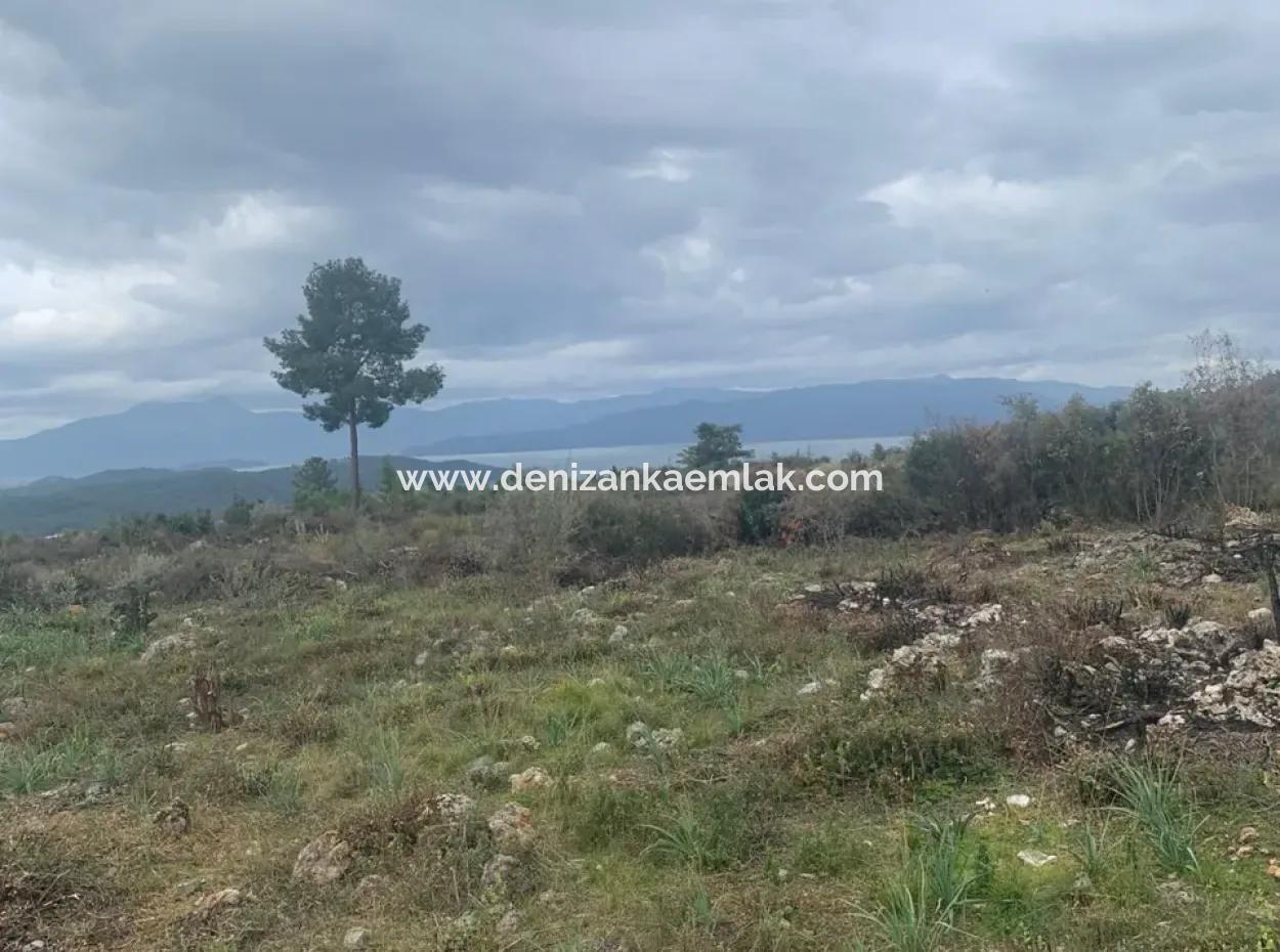 500 M² Field For Sale In Köyceğiz Zeytinalani