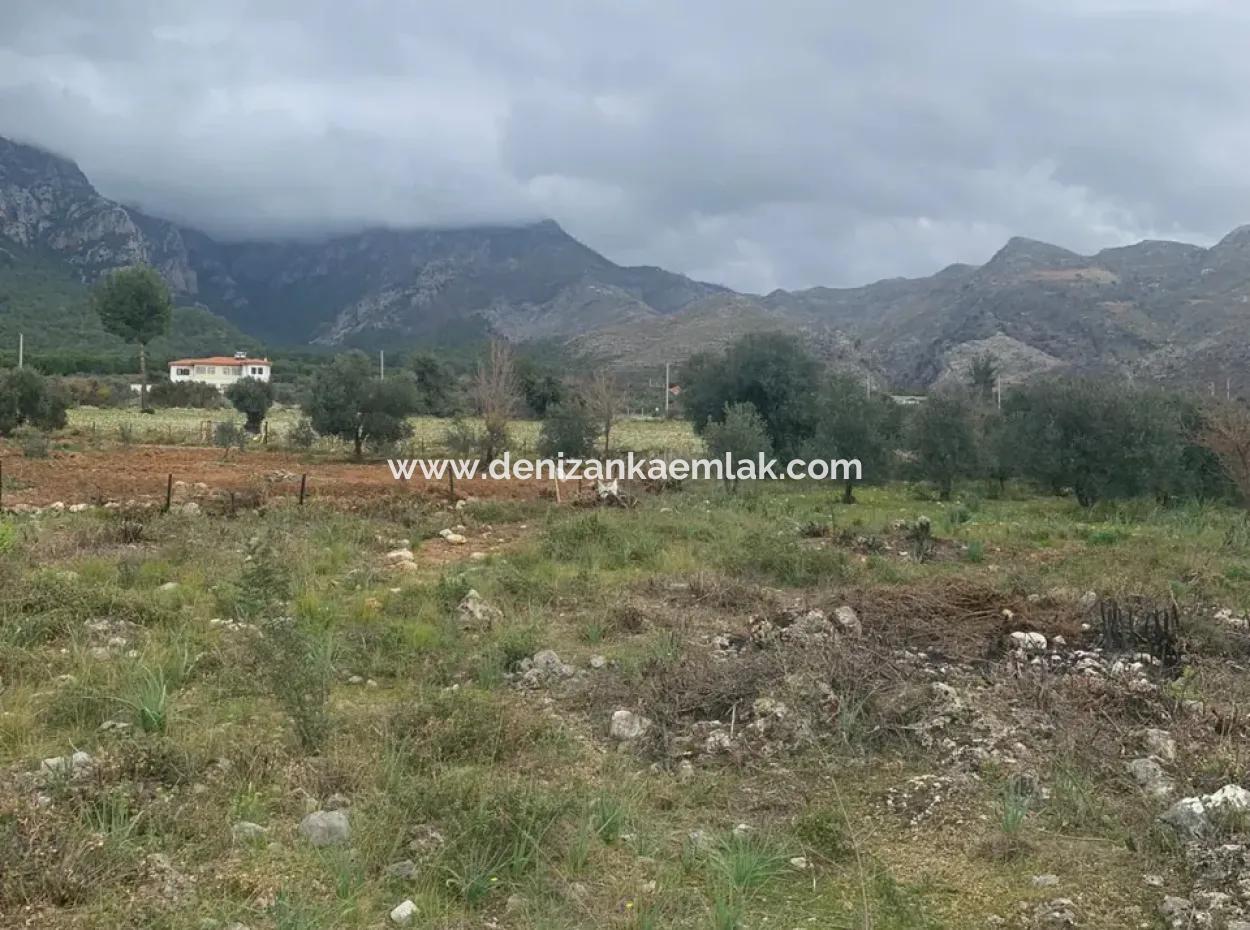 500 M² Field For Sale In Köyceğiz Zeytinalani