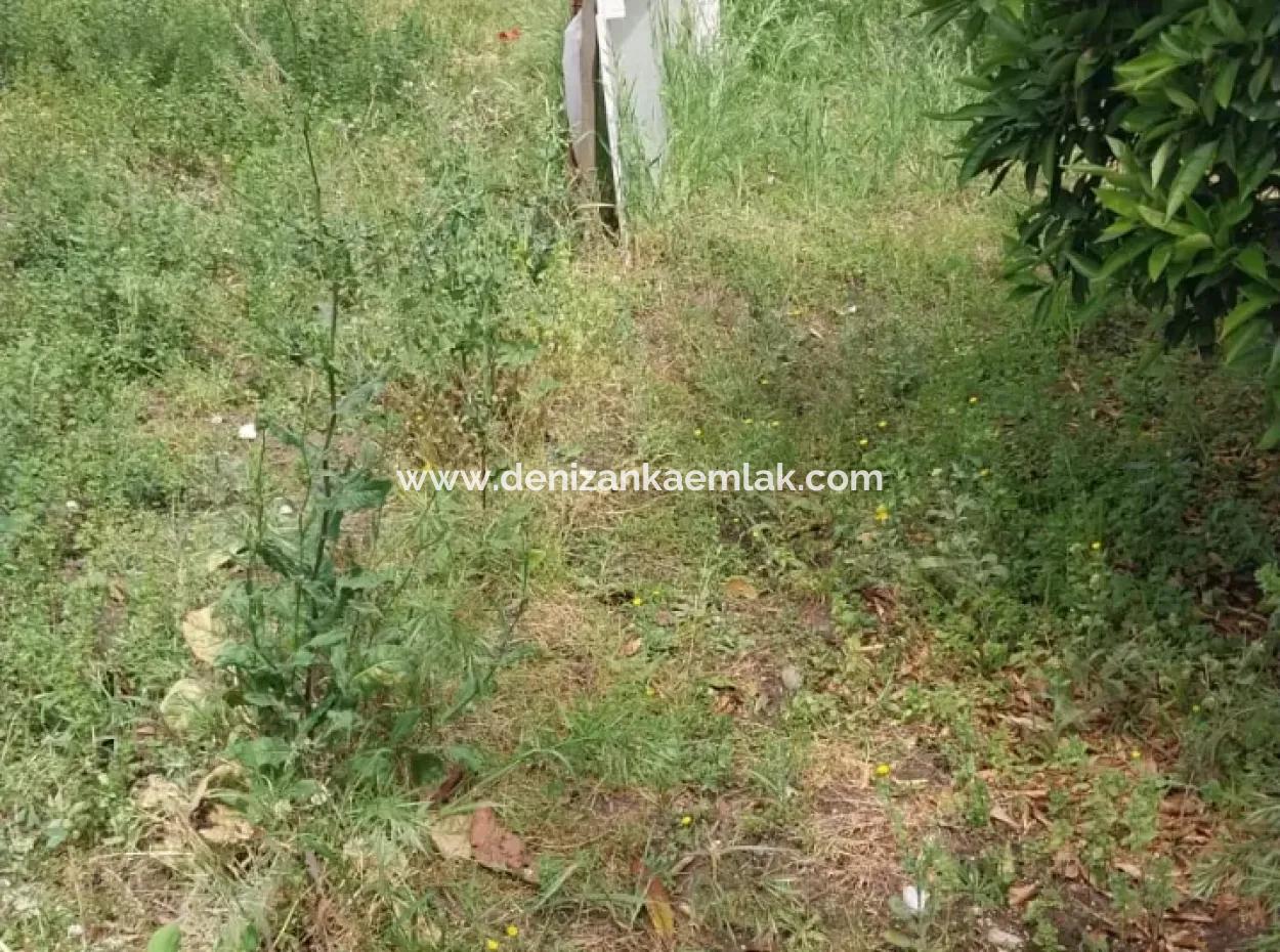 Ortaca Cumhuriyet Mah 2 1 Apartment For Rent