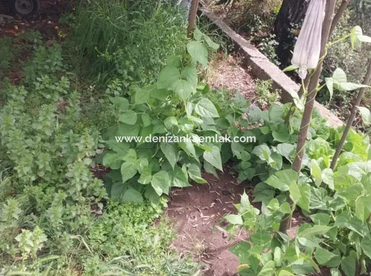 Ortaca Cumhuriyet Mah 2 1 Apartment For Rent