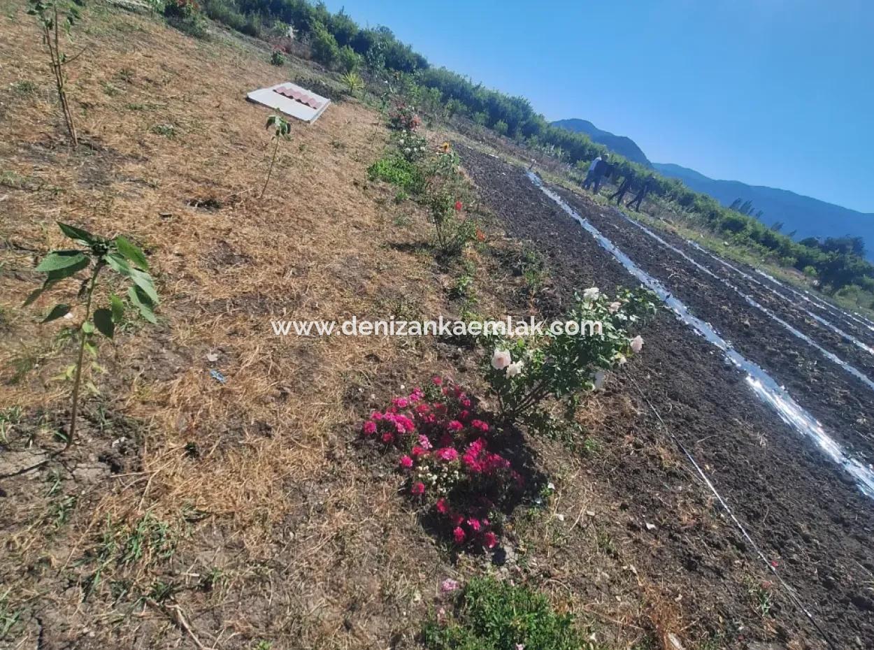 Ortaca Eskikoy Mah Fully Furnished 2 1 Detached House For Rent