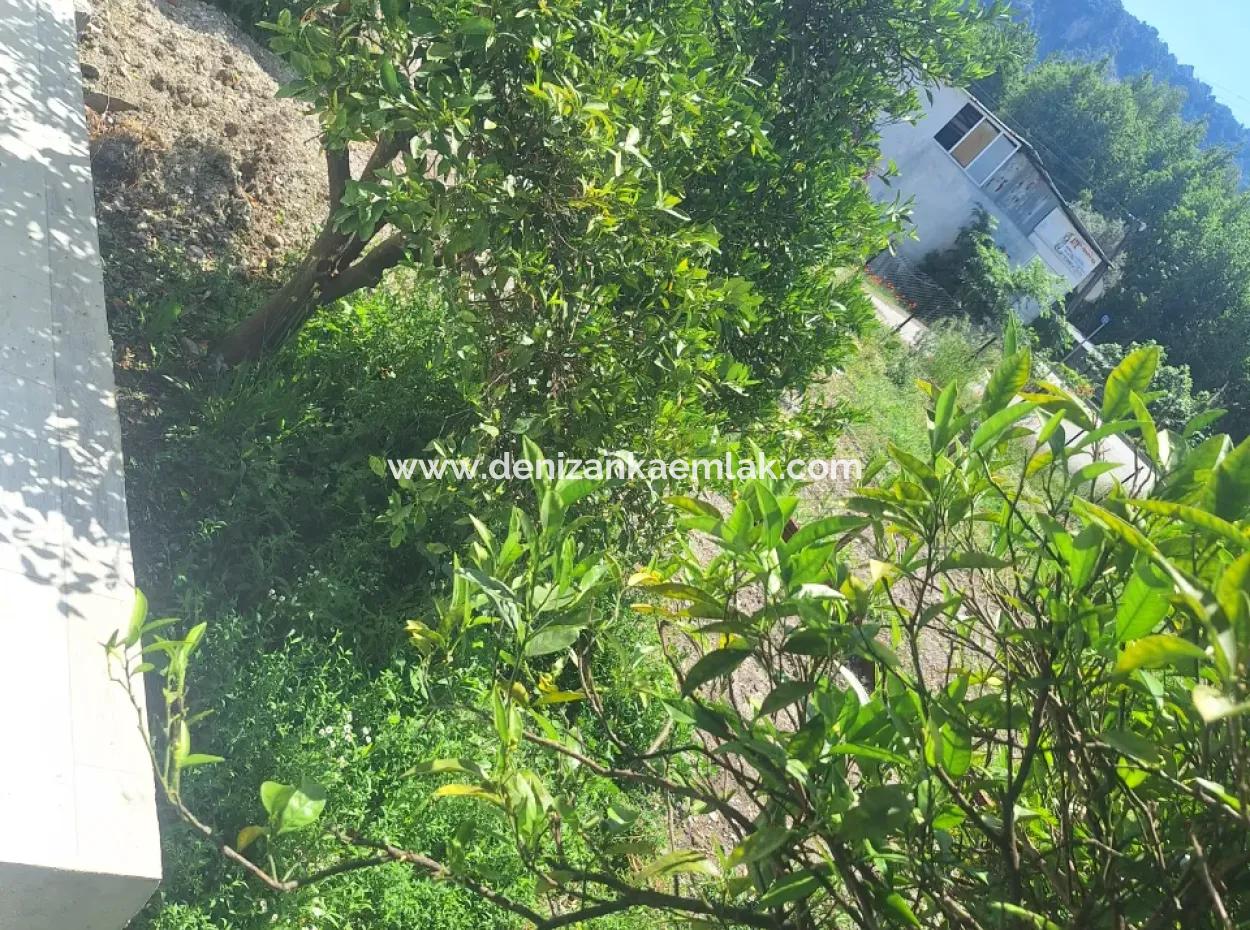 2 1 Fully Detached House For Rent In Dalyan Marmarali