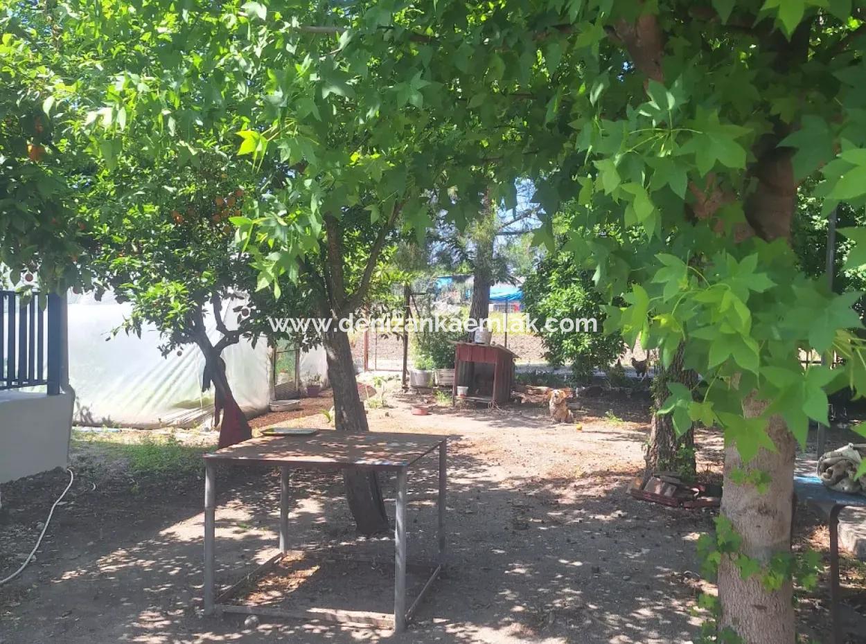 2 1 Fully Detached House For Rent In Dalyan Marmarali