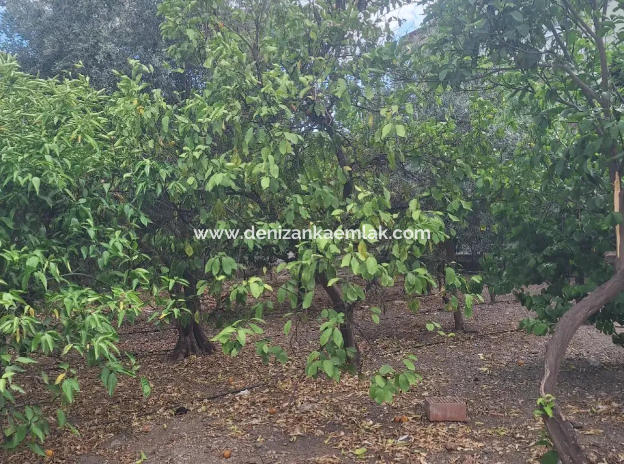 2 Storey Eb In A 500M² Zoned Plot For Sale In The Center Of Ortaca