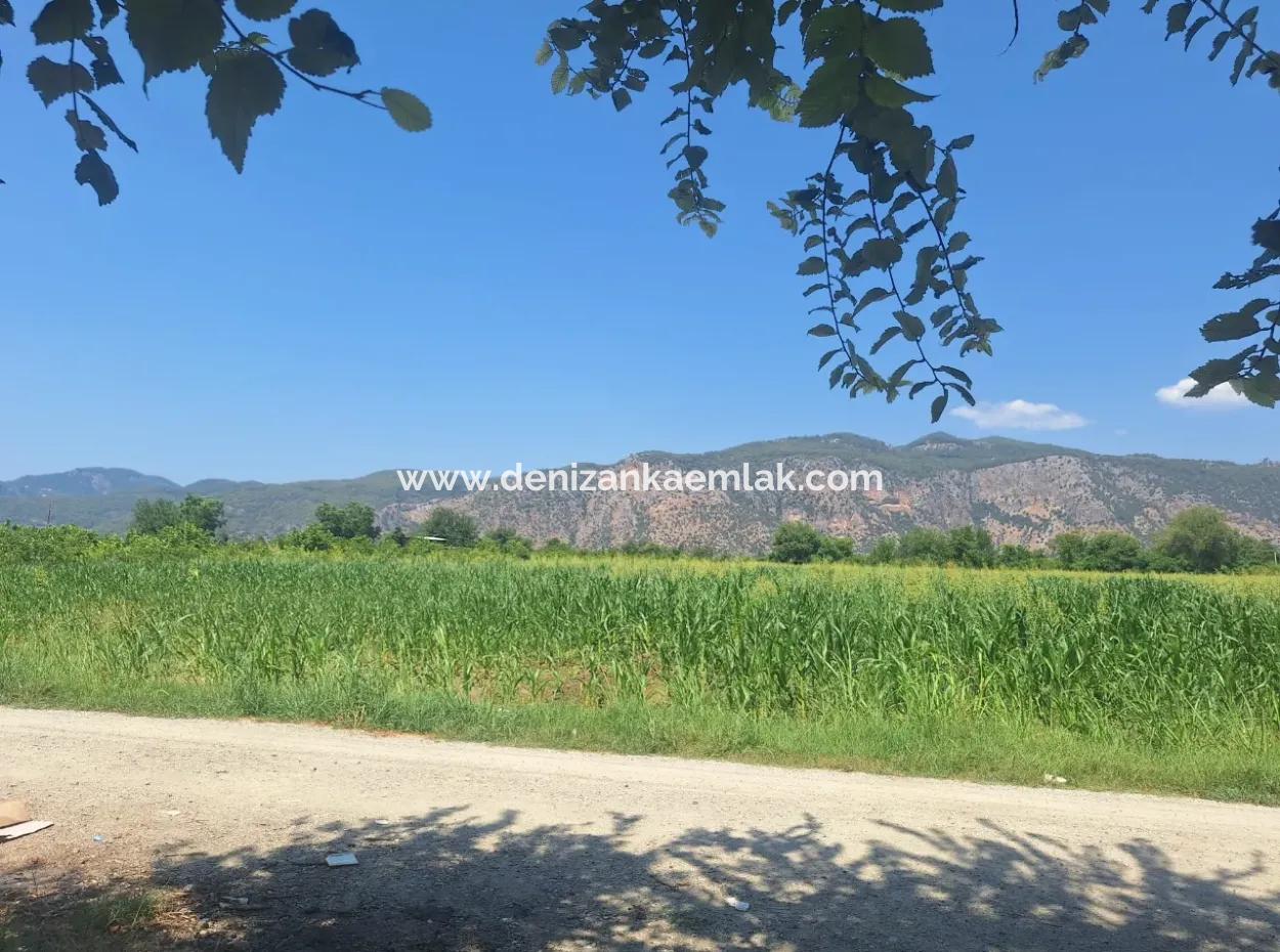 Ortaca Akıncı Da Rent Semi-Detached 1 1