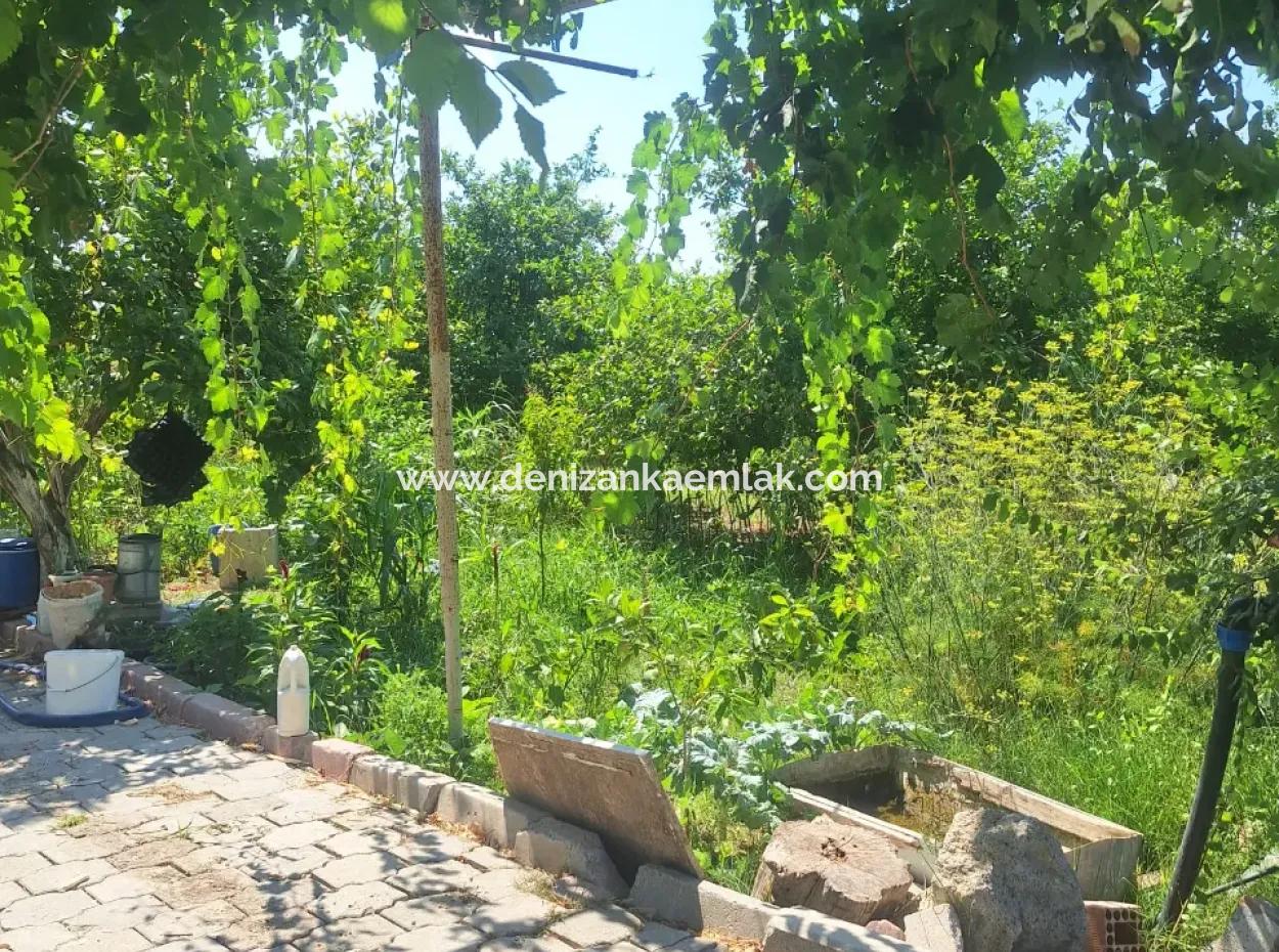 Ortaca Akıncı Da Rent Semi-Detached 1 1