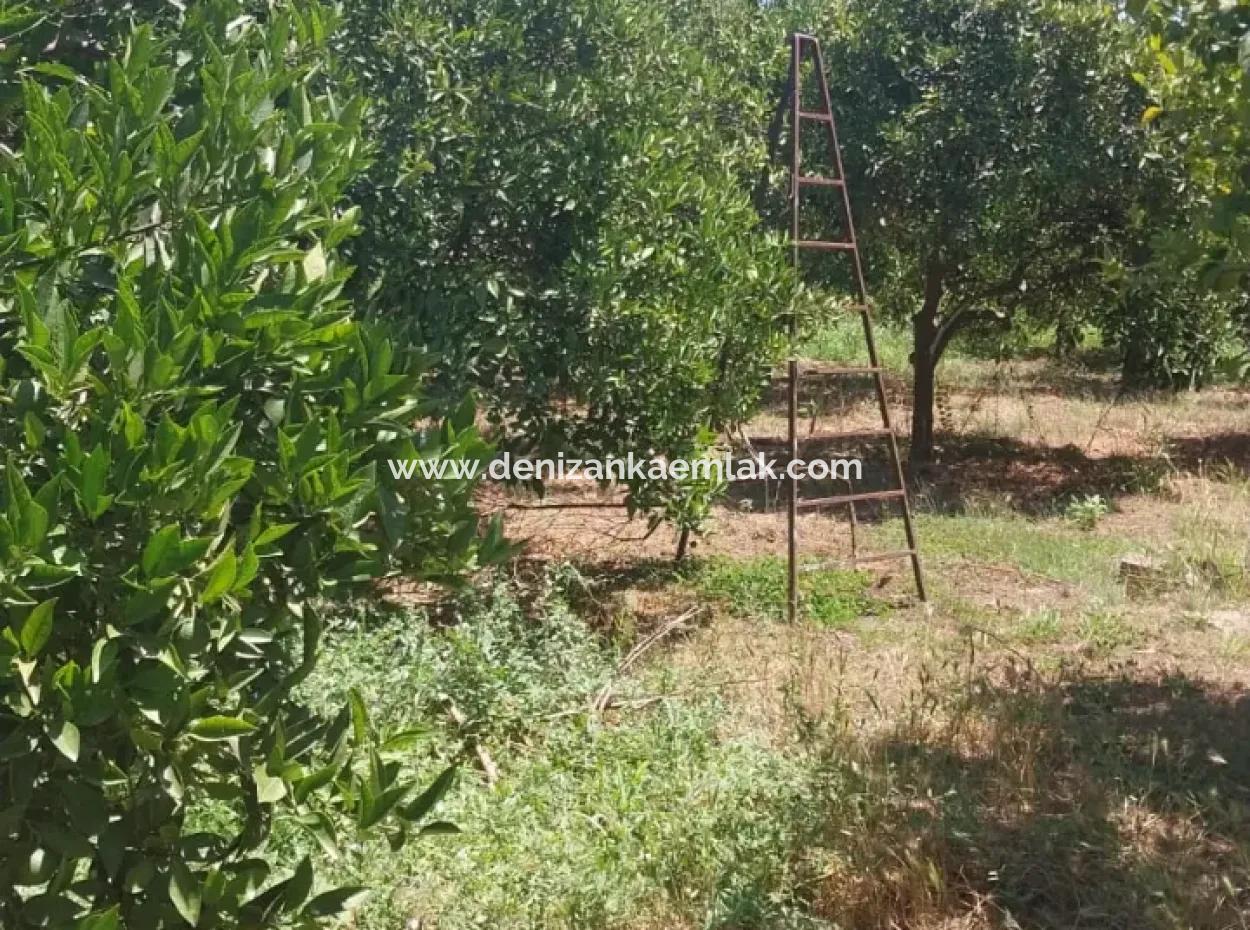 2 In 1 Detached House In 1000 M² Plot For Sale In Ortaca Akıncı Mah
