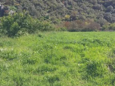 Ortaca Mergenli Mah. 500 M² Shared Land For Sale