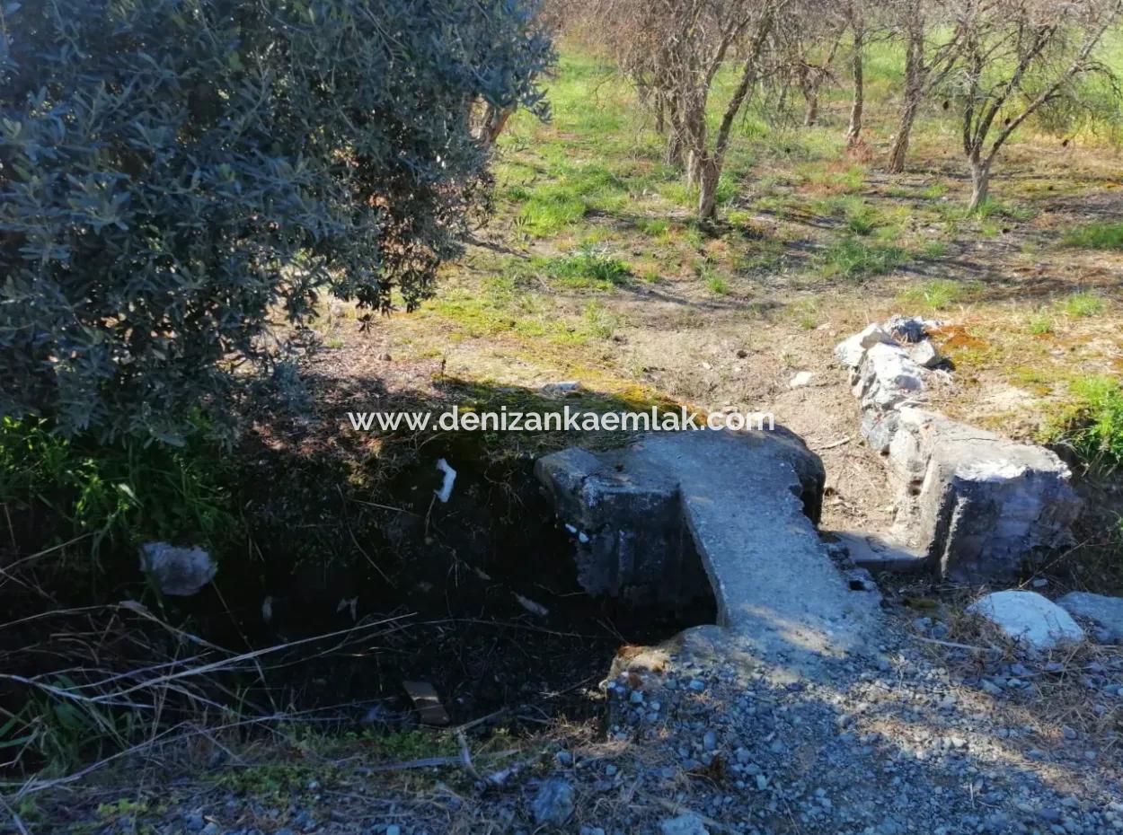 Ortaca Fevziye Mah Satılık 4300M² Tek Tapu Tarla