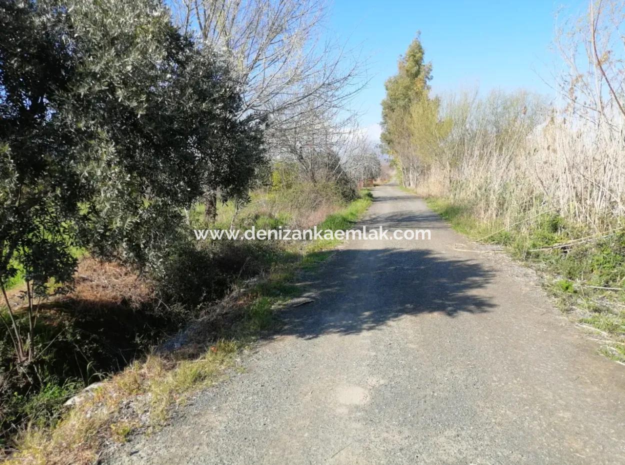 Ortaca Fevziye Mah Satılık 4300M² Tek Tapu Tarla