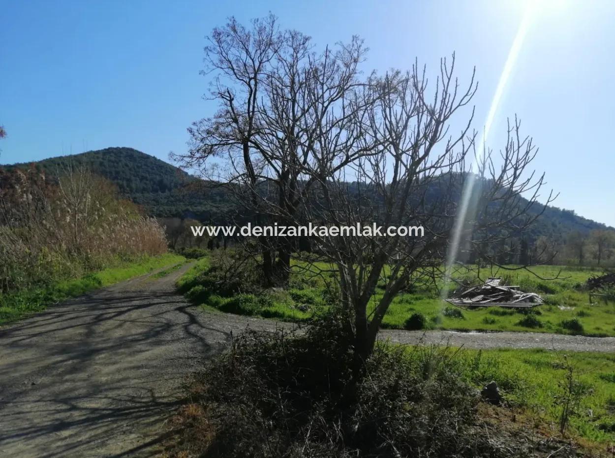 Ortaca Fevziye Mah Satılık 4300M² Tek Tapu Tarla