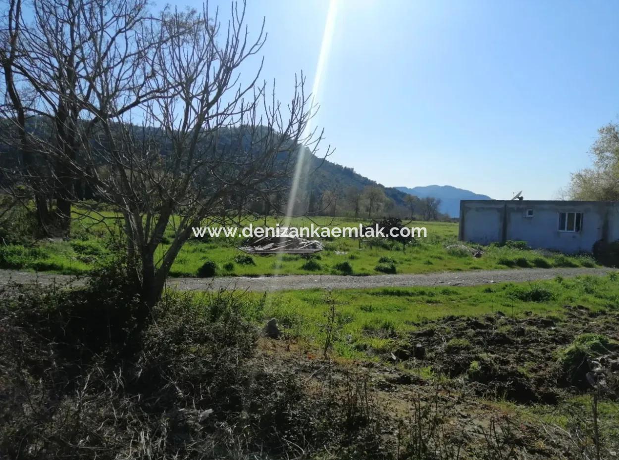 Ortaca Fevziye Mah Satılık 4300M² Tek Tapu Tarla