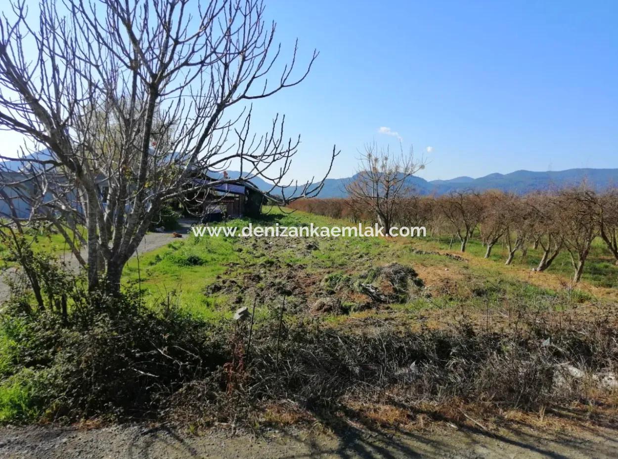 Ortaca Fevziye Mah Satılık 4300M² Tek Tapu Tarla