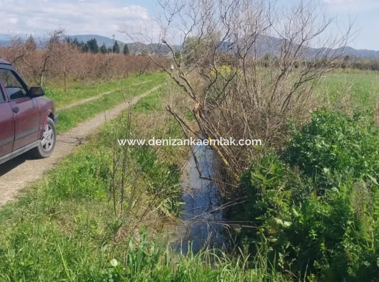 Güzelyurt Mah.satılık 11 Dönüm Tek Tapu Tarla