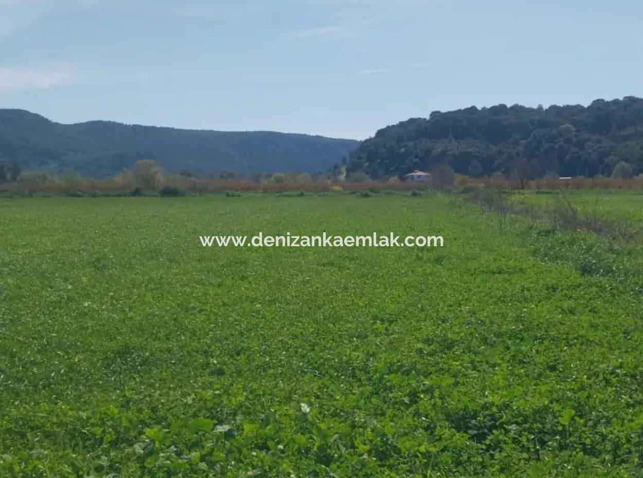 Güzelyurt Mah.satılık 11 Dönüm Tek Tapu Tarla