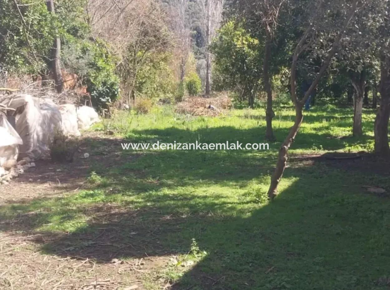 Ortaca Mergenli Mah.satılık  500 M² Hisseli Tarla