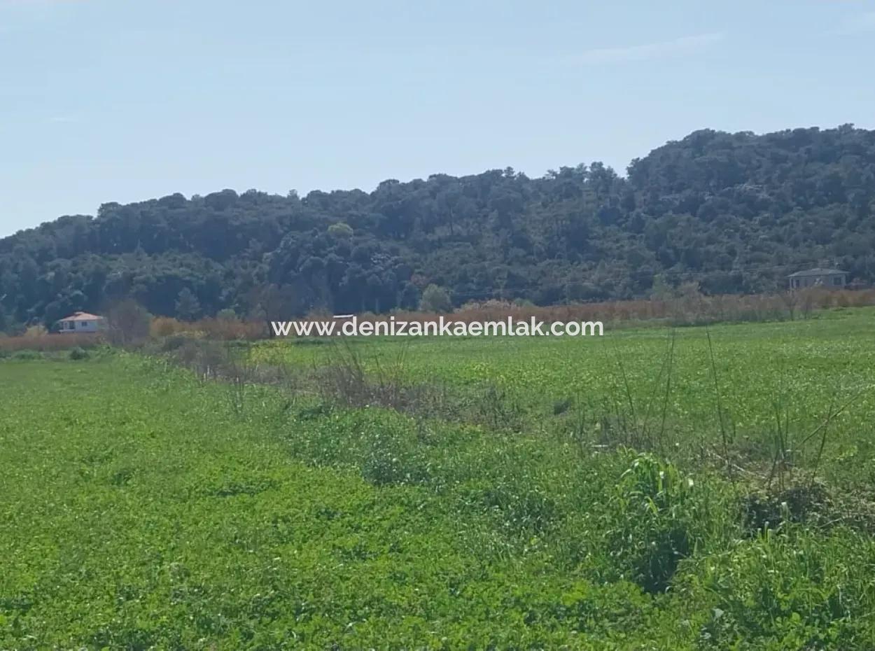 Ortaca  Güzelyurt Mah.satılık 6335M² Satılık Tarla