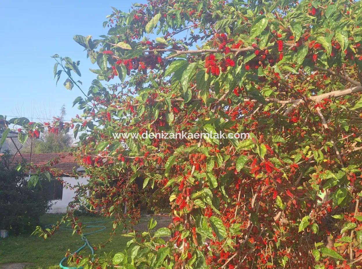 Dalyan Okçular Mah Kiralık 2+1 Yarı Müstakil Ev