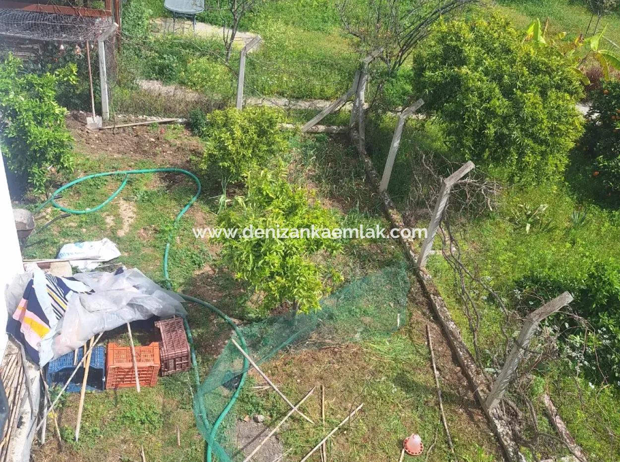 Ortaca Çaylı Mah Kiralık 3+1 Kalöriferli Geniş Daire