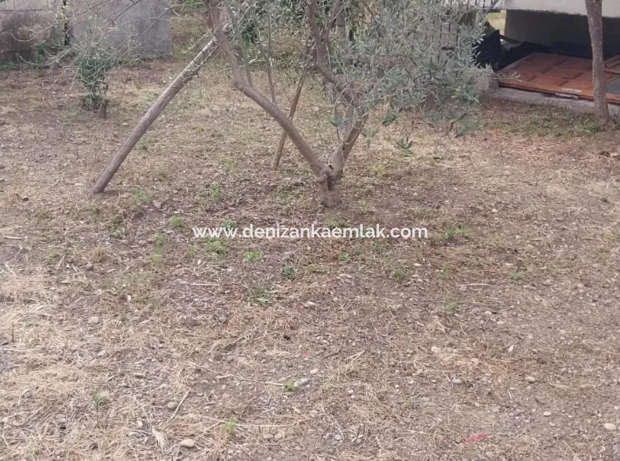 Ortaca Çaylı  Mah.kiralik 500M² Arsa İçinde Tam Müstakil 3+1 Dubleks