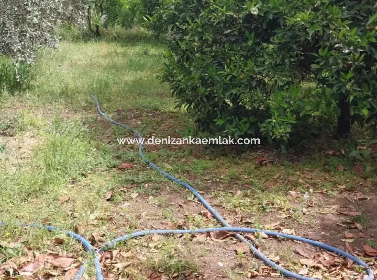 Ortaca Cumhuriyet Mah Kiralık 2+1 Daire