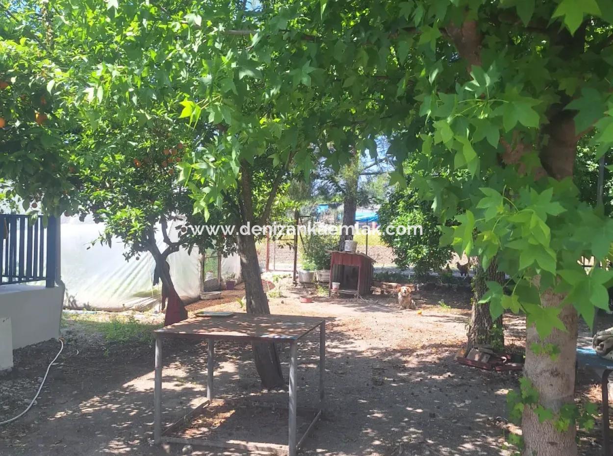 Dalyan Marmarali Da Kiralık 2+1 Tam Müstakil Ev