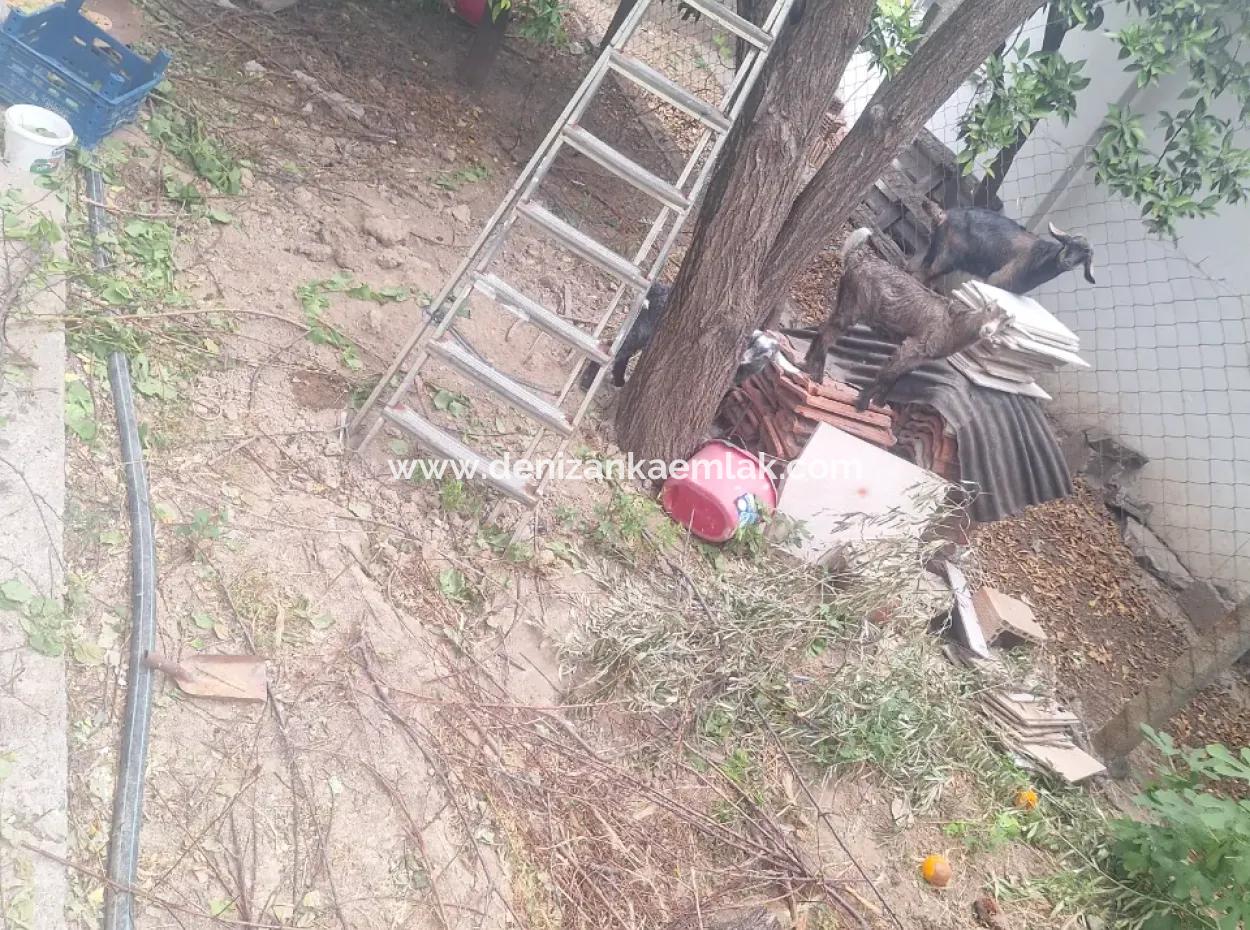 Ortaca Bahçelievler Mah.kiralik 3+1 Geniş Daire