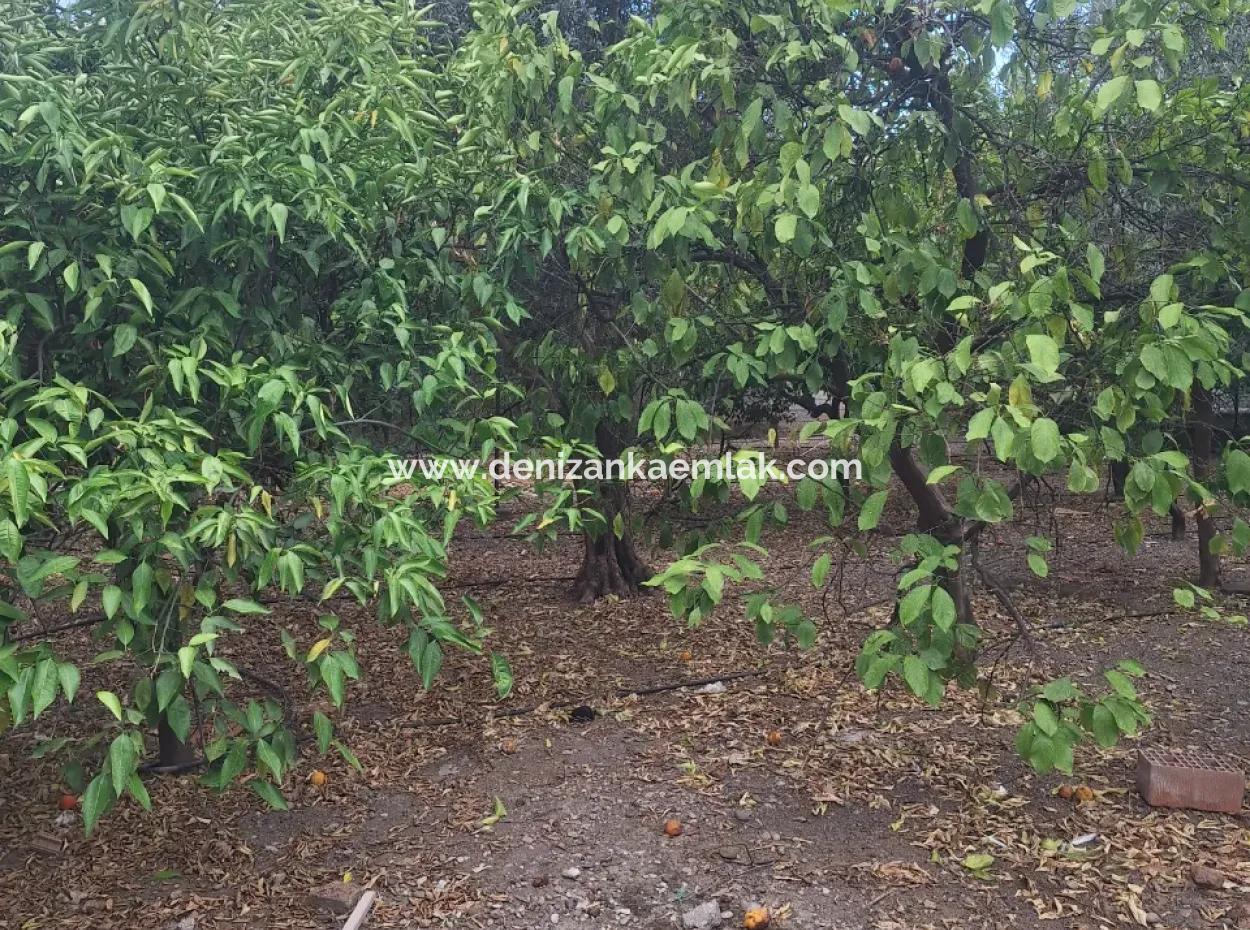 Ortaca Merkezde Satılık 500M² İmarlı Arsa İçinde 2 Katlı Eb