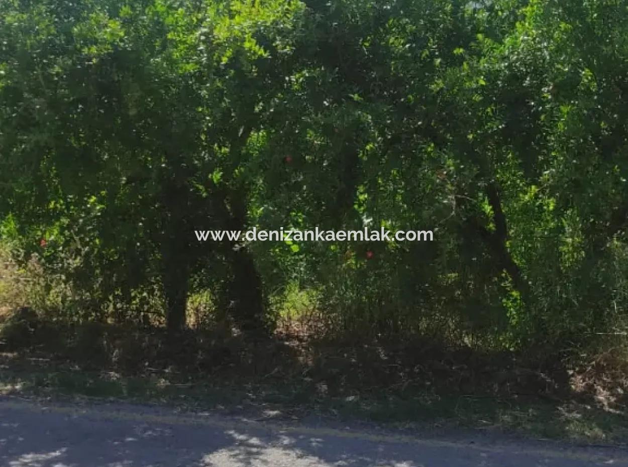Ortaca Tepearasi Mevkiinde Satılık 400M²  Tarla