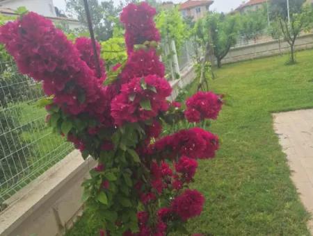Ortaca Cumhuriyet Mah Full Esyali 2+1Daire